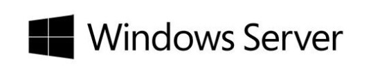 Fujitsu Microsoft Windows Remote Desktop Services 2016 - lisens - 1 bruker-CAL Fujitsu Microsoft Windows Remote Desktop Services 2016 - lisens - 1 bruker-CAL