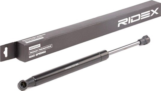 RIDEX 219G0893 Baklukedemper RIDEX 219G0893 Baklukedemper