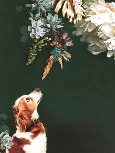 Malerifabrikken Poster Pet Couture 1 1682745-01-48