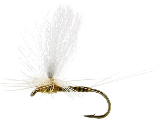 Flies Sulphurea Dun Quill Yellow Yellow