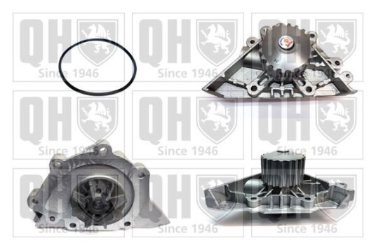 QUINTON HAZELL QCP3625 Vannpumpe QUINTON HAZELL QCP3625 Vannpumpe