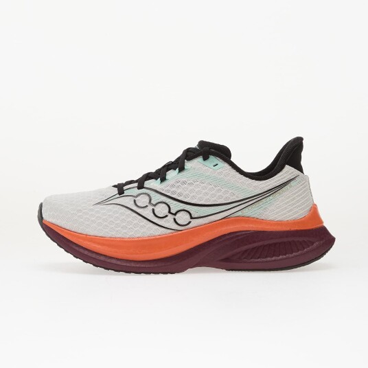 Saucony Men's Endorphin Speed 5 White/Crimson 45