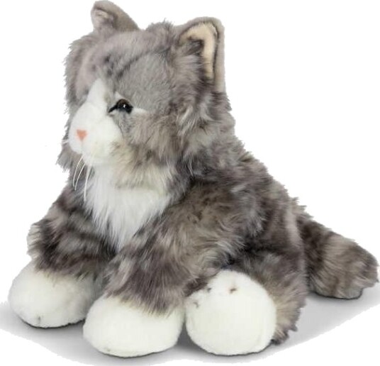 Fluffy Cat Fluffy Cat