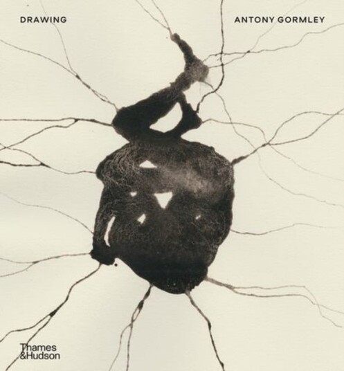 Drawin Antony Gormley