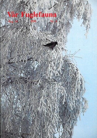 Norsk Ornitologisk Forening Vår Fuglefauna   1991 4 årgang 14