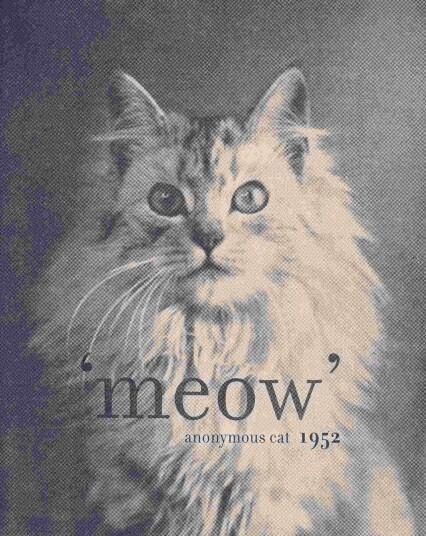 Namly Design Plakat Meow Katt 1952 POSTERD38MKF