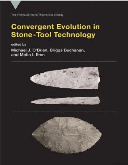 Convergent Evolution In Stone-Tool Technology