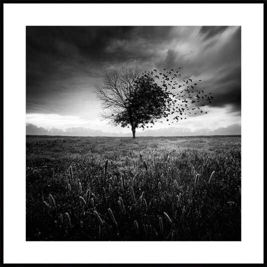 Illusion Plakat Plakat / 30x30cm