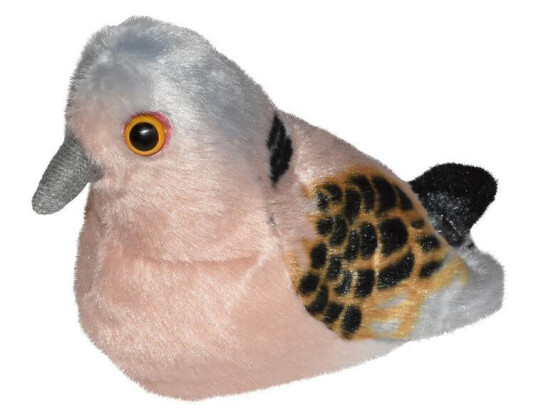 Wild Republic Birds with sound from Wild Republic Birds with sound from