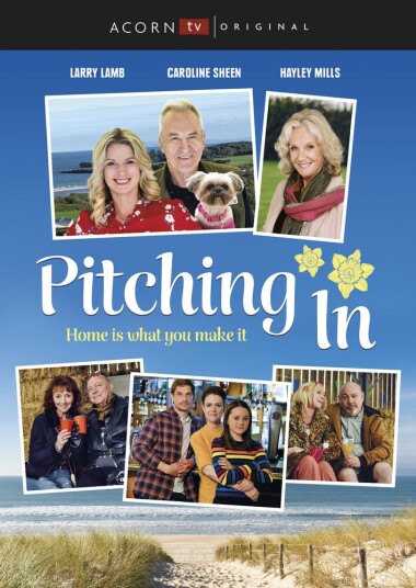 Pitching In DVD Pitching In DVD