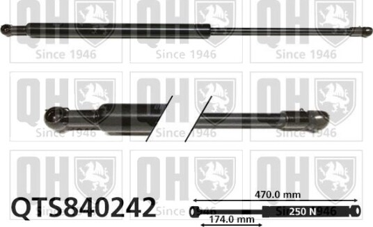 QUINTON HAZELL QTS840242 Baklukedemper