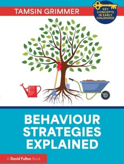 Behaviour Strategies Explained