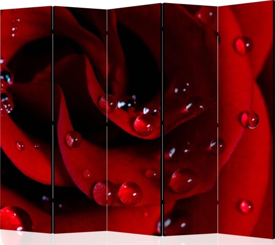 Romdeler - Red rose with water drops II 225x172 - Artgeist sp. z o. o.