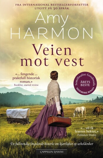 Veien mot vest Veien mot vest