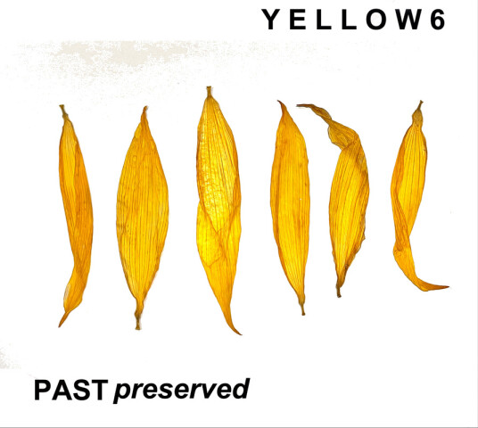 Yellow6 Past Preserved CD