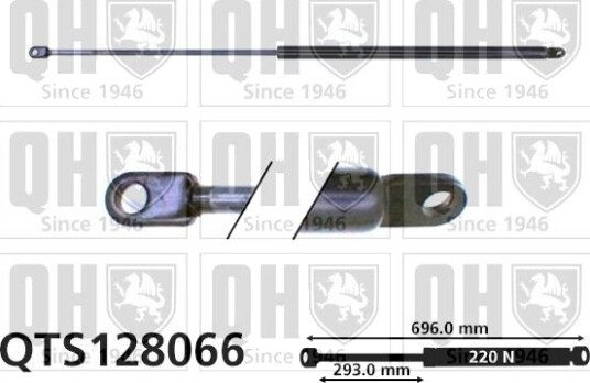QUINTON HAZELL QTS128066 Baklukedemper