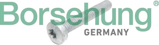 Sylindertoppskrue Borsehung B10645