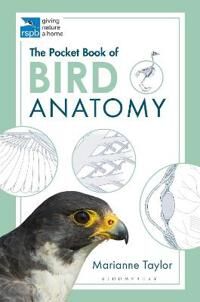 The Pocket Book Of Bird Anatomy Av Marianne Taylor