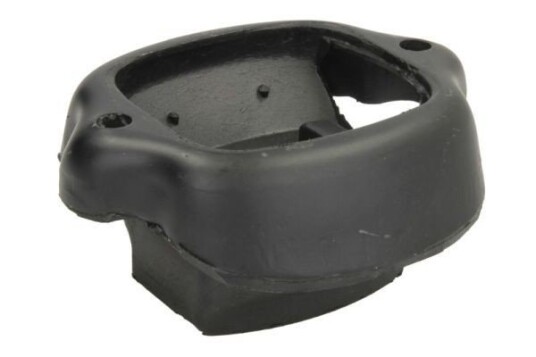 Motorfeste REINHOCH RH11-3041