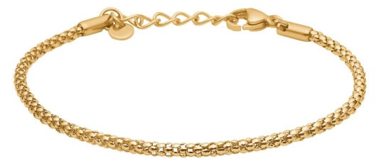 Tom Morris Box Chain Armbånd 18 kt. Gullforgylt Rustfritt Stål TM00011 - Herre - Gold Tom Morris Box Chain Armbånd 18 kt. Gullforgylt Rustfritt Stål TM00011 - Herre - Gold