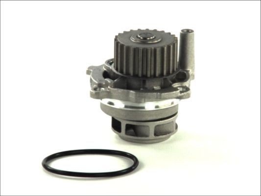THERMOTEC D1W028TT Vannpumpe
