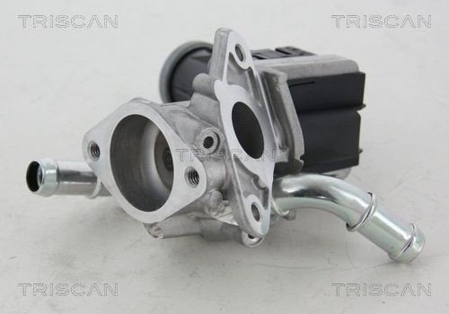 EGR-ventil TRISCAN 8813 16036