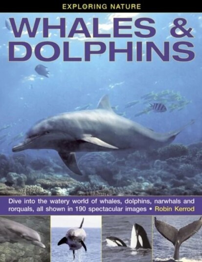 Exploring Nature: Whales & Dolphins Av Robin Kerrod