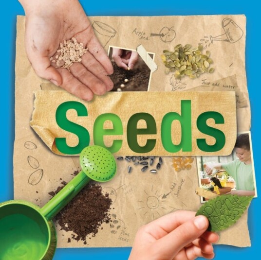 Seeds Seeds