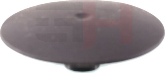 Fjærbeinslager GH GH-369962