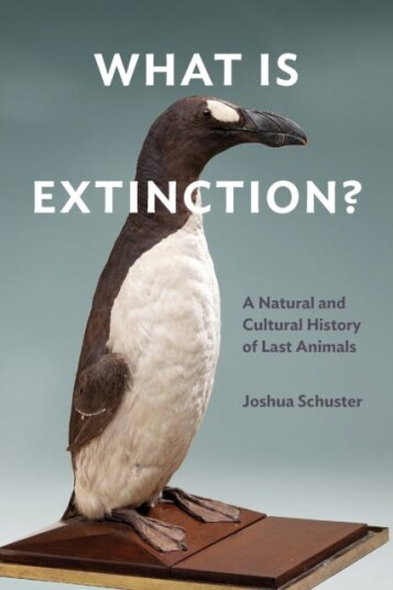 What Is Extinction? Av Joshua Schuster