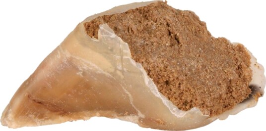 Trixie tyggeklov med kjøttpostei 5 x 115 g
