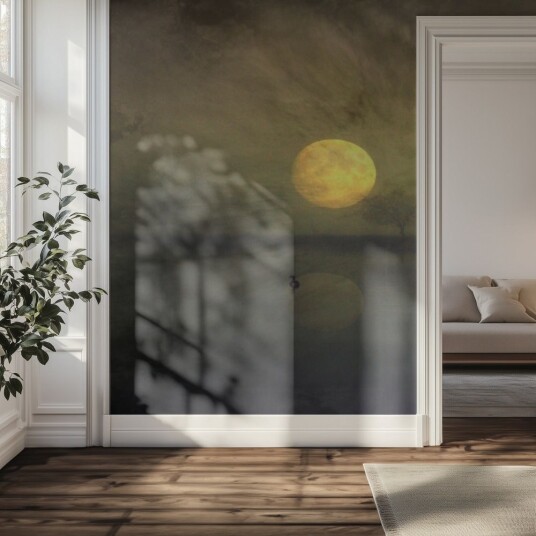 Tapet Måneskinn Innsjø Refleksjon Tapet Måneskinn Innsjø Refleksjon