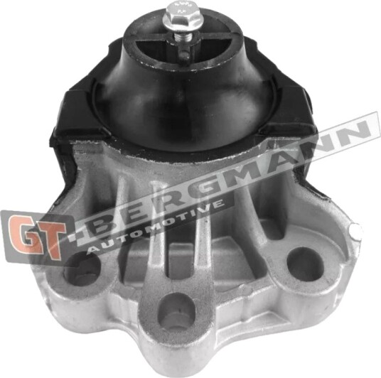 GT BERGMANN GT25 036 Motorfeste