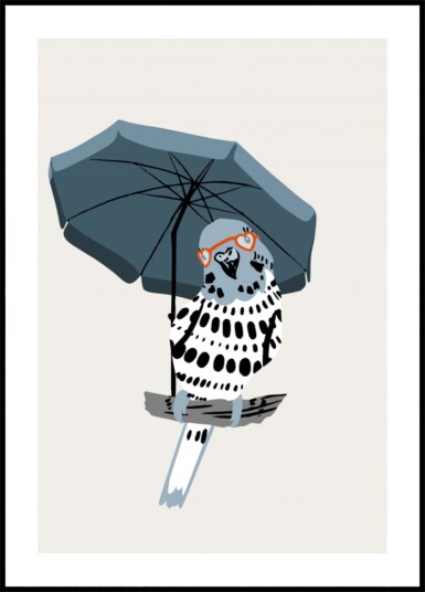 Stylish Budgie Under Umbrella Plakat / 100x150