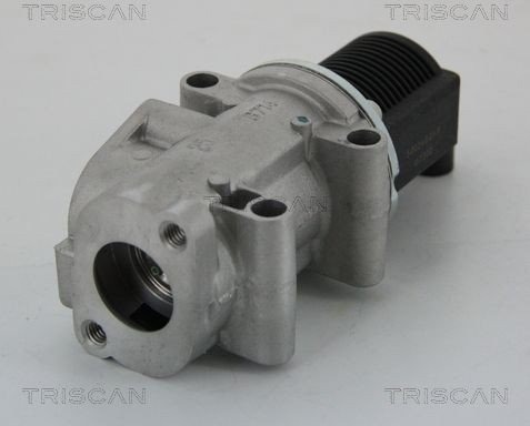 EGR ventil TRISCAN 8813 15032