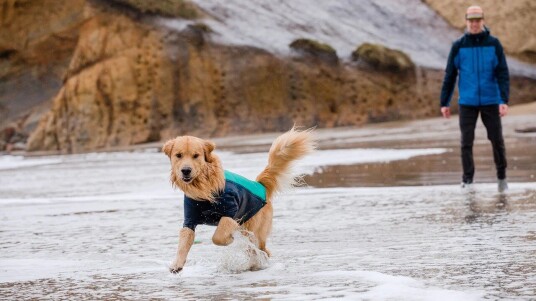 Ruffwear Undercoat Water Jacket Aurora Teal L