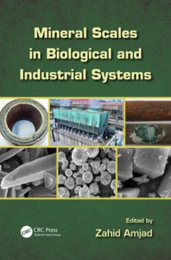 Mineral Scales in Biological and Industrial Systems