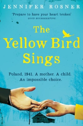 The Yellow Bird Sings Av Jennifer Rosner