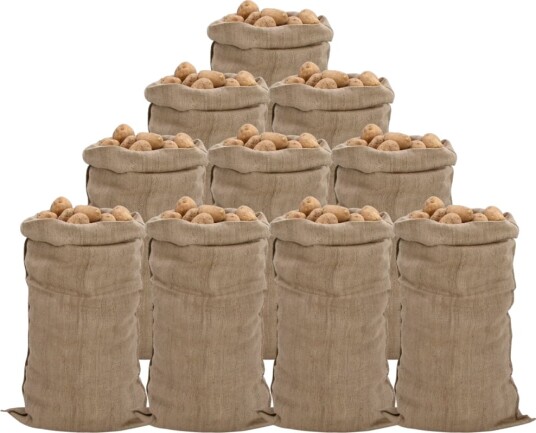  Jutesekker 10 stk 65x135 cm 100% jute 340 gsm 155786