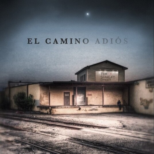El Camino Adios Vinyl El Camino Adios Vinyl