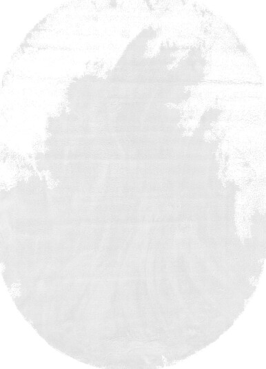 Ovalt ryeteppe Aranga Super Soft Fur hvit Størrelse: 200 x 290 cm
