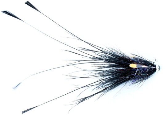 Frodin Flies Frödin Pig Series