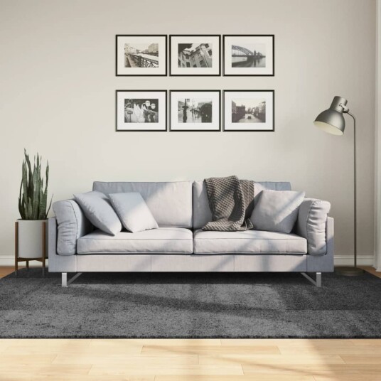 Teppe OVIEDO kort luv antrasitt 160x230 cm 8721012230729