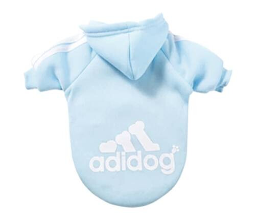 Lyseblå Adidog For Liten Og Stor Hund