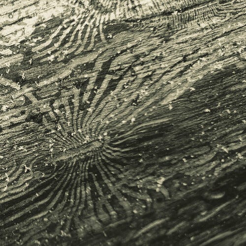 Raphael Roginski  Talan  LP/Vinyl