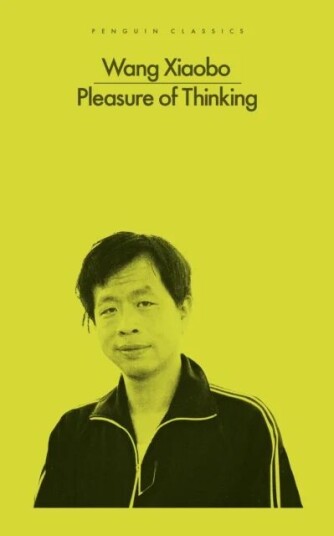 Pleasure Of Thinking Av Wang Xiaobo