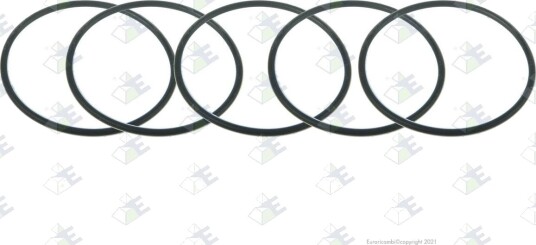 Tetningsring Euroricambi 95534675 Tetningsring Euroricambi 95534675