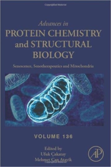Senescence, Senotherapeutics And Mitochondria