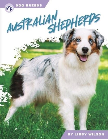 Australian Shepherds Australian Shepherds
