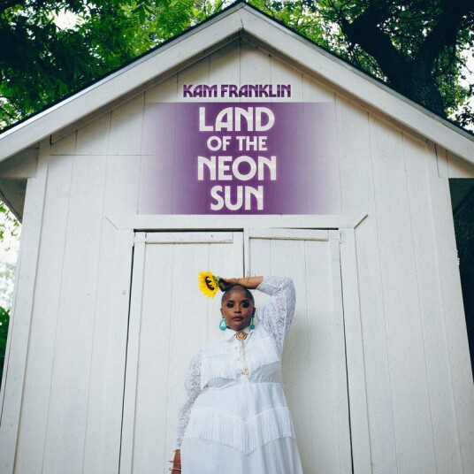 Land Of The Neon Sun Vinyl